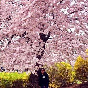 Meet your Posher, Bibi